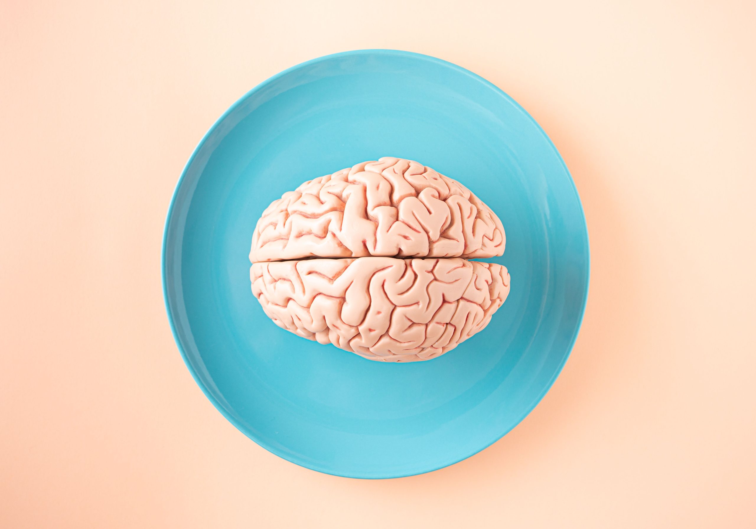 Understanding Brain Plasticity